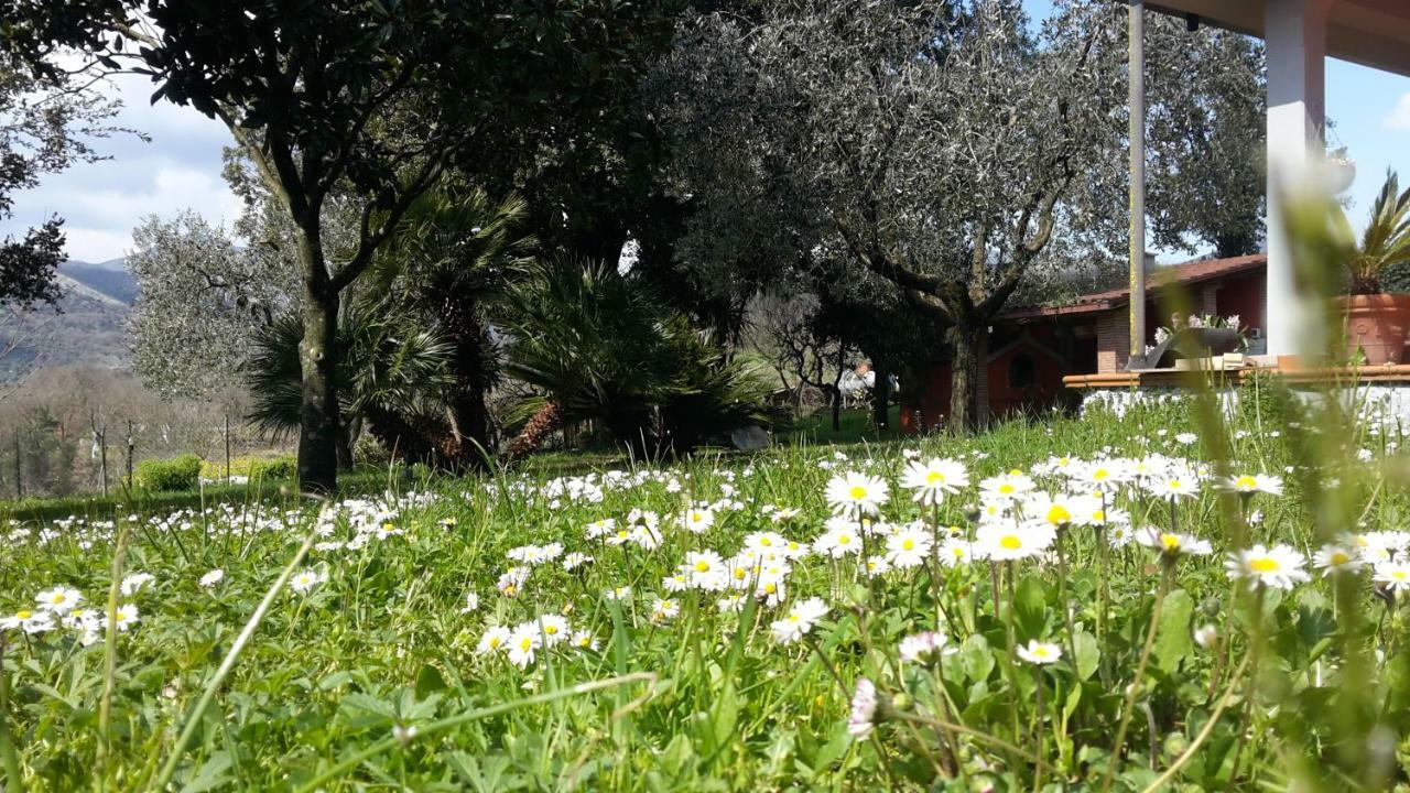 B&B La Mita Giuliano di Roma Экстерьер фото